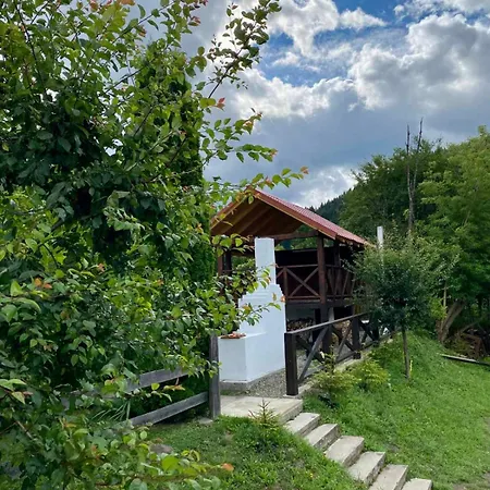 на березі черемошу * Verkhovyna