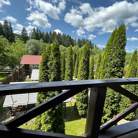 на березі черемошу Hotel