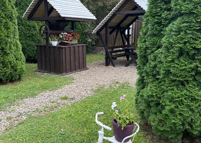 на березі черемошу Hotel *