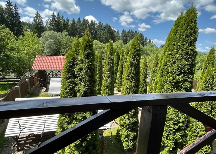 на березі черемошу Hotel