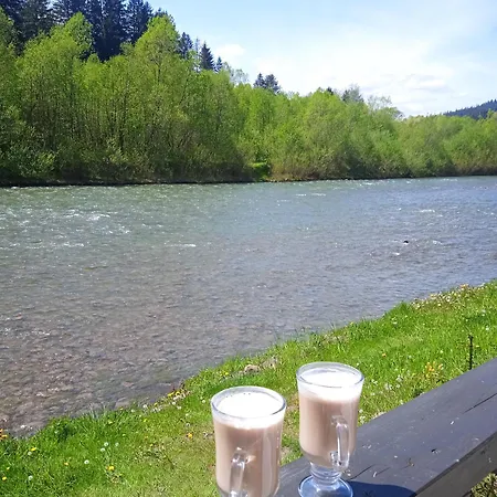 на березі черемошу *